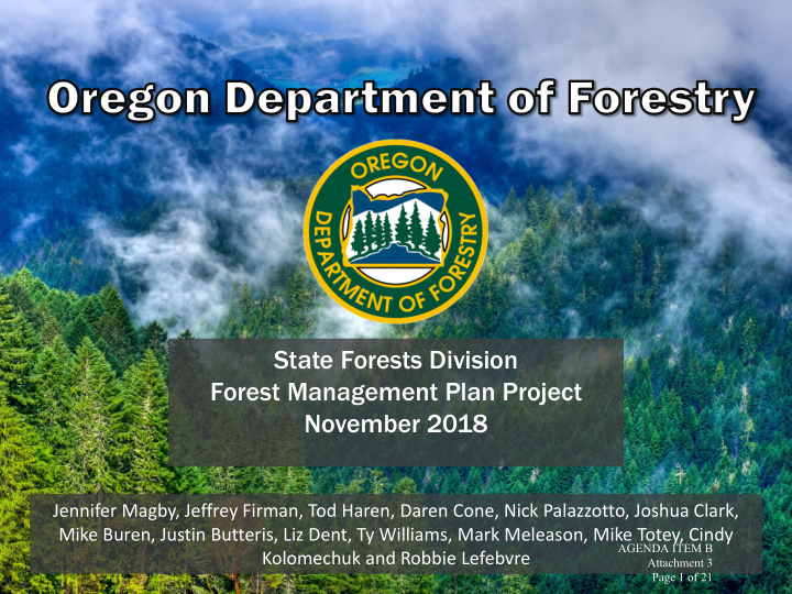 state forests division