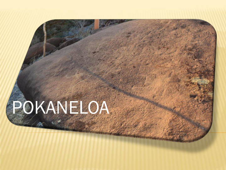 pokaneloa cultural significance of pokaneloa