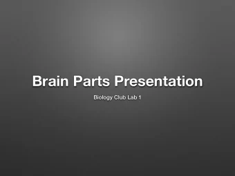 Brain Parts Presentation  Biology Club Lab 1  Frontal Lobe:  Parietal Lobe:  Occipital Lobe: