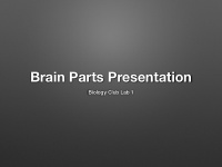 brain parts presentation