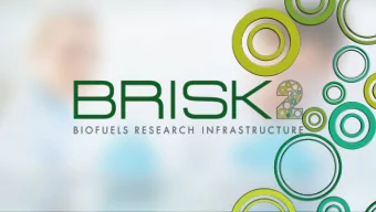 Biofuels Research Infrastructure  for Sharing Knowledge  An Overview of Opportunities  Pippa Try