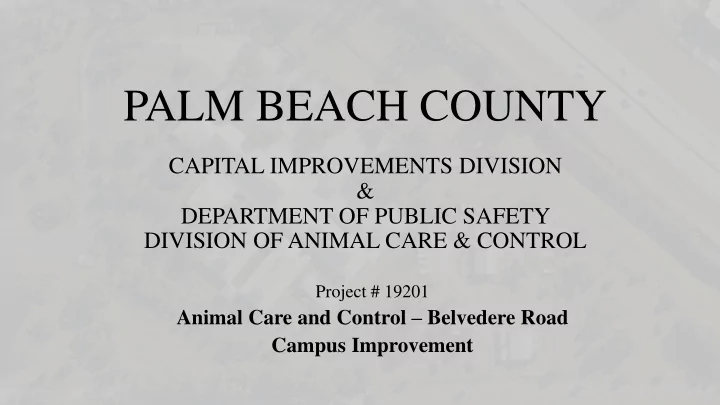 palm beach county