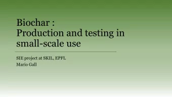 Biochar :  Production and testing in  small-scale use  SIE project at SKIL, EPFL  Mario Gall