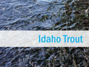 Farms  Animal Farms  Aquaculture (Fish Farms)  Fruit and Vegetable Farms  Aquaculture  in Idaho