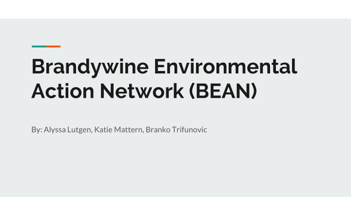 brandywine environmental action network bean