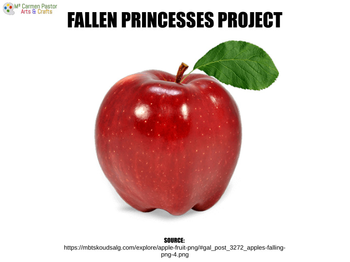 fallen princesses project