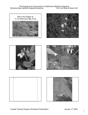 1  The Ecology and Conservation of California's Maritime Chaparral  Monterey Bay maritime chaparral