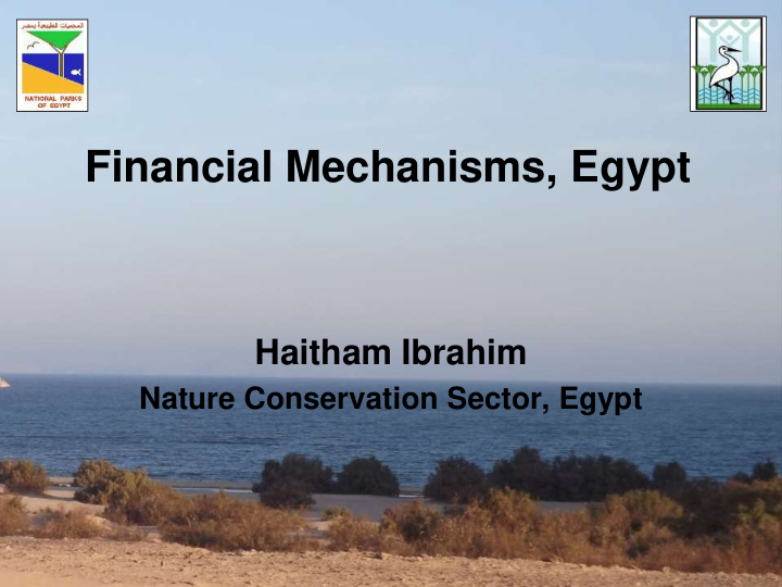 financial mechanisms egypt