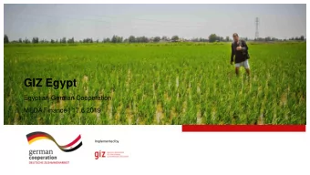 GIZ Egypt  Egyptian-German Cooperation  MEDA Finance | 17.6.2019  Implemented by  Sustainable