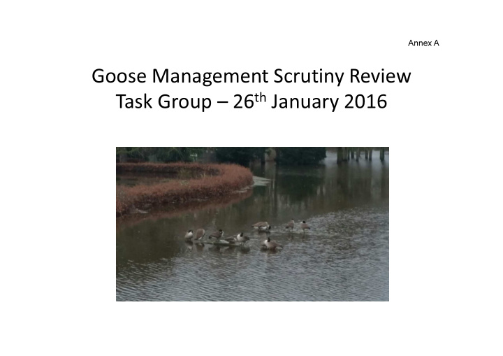 goose management scrutiny review task group 26 th january