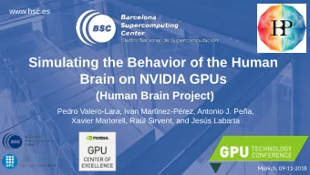 Simulating the Behavior of the Human  Brain on NVIDIA GPUs  (Human Brain Project)  Pedro