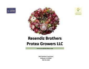Resendiz  Resendiz Brothers  Resendiz  Resendiz Brothers  Brothers  Brothers  Protea Protea Growers