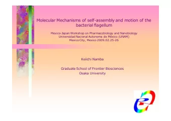 Molecular Mechanisms of self-assembly and motion of the  bacterial flagellum  Mexico-Japan Workshop