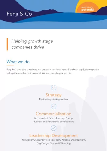 Fenji &amp; Co  Helping growth stage  companies thrive  What we do  Fenji &amp; Co provides
