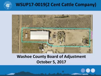 WSUP17-0019(2 Cent Cattle Company)  Washoe County Board of Adjustment  October 5, 2017  1  Overview