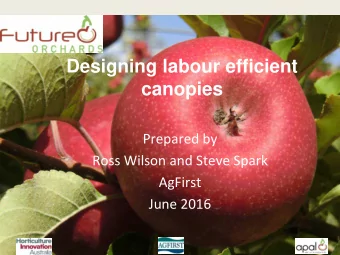 Designing labour efficient  canopies  Prepared by  Ross Wilson and Steve Spark  AgFirst  June 2016