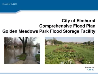 City of Elmhurst  Comprehensive Flood Plan  Golden Meadows Park Flood Storage Facility  Prepared by