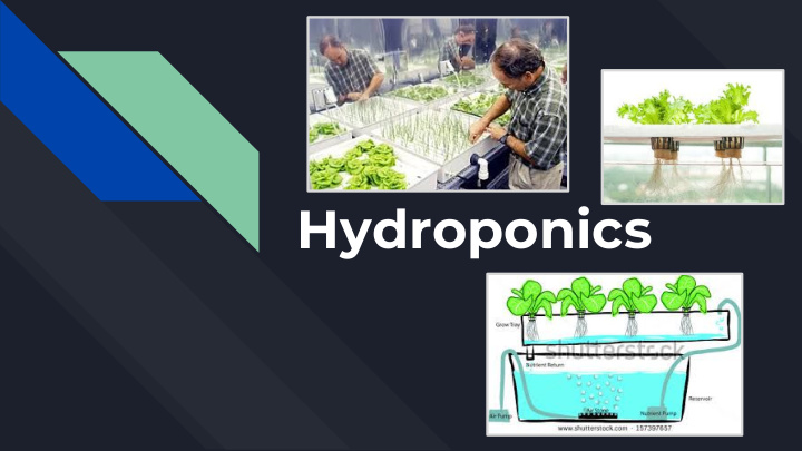 hydroponics