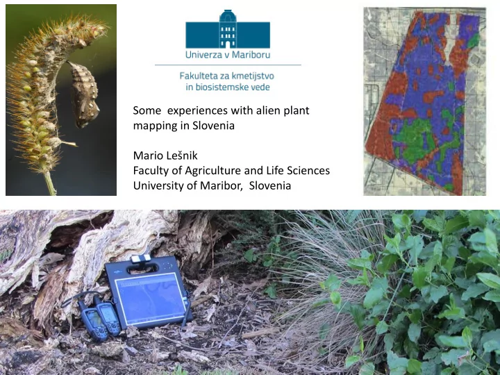 some experiences with alien plant mapping in slovenia