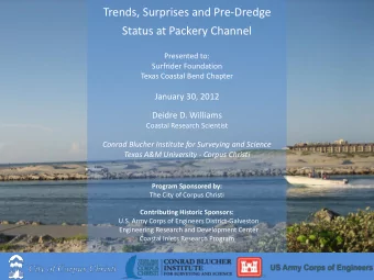 Trends, Surprises and Pre-Dredge  Status at Packery Channel  Presented to:  Surfrider Foundation