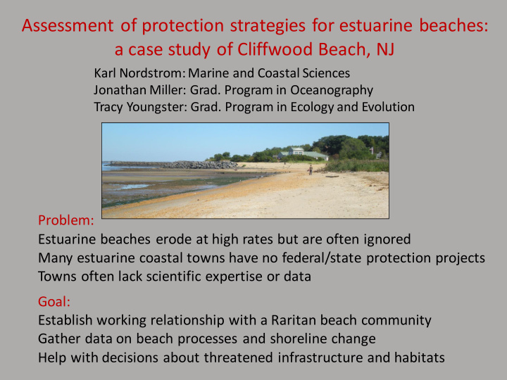 assessment of protection strategies for estuarine beaches