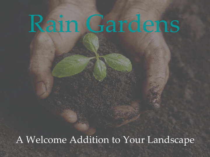 rain gardens