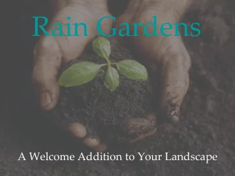 Rain Gardens  A Welcome Addition to Your Landscape  Where Does The Rainwater Go?  Naturally,