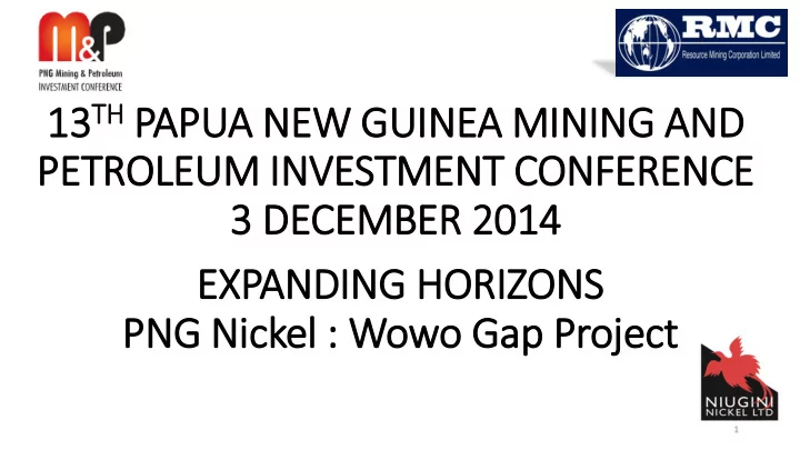 petroleum in investment conference