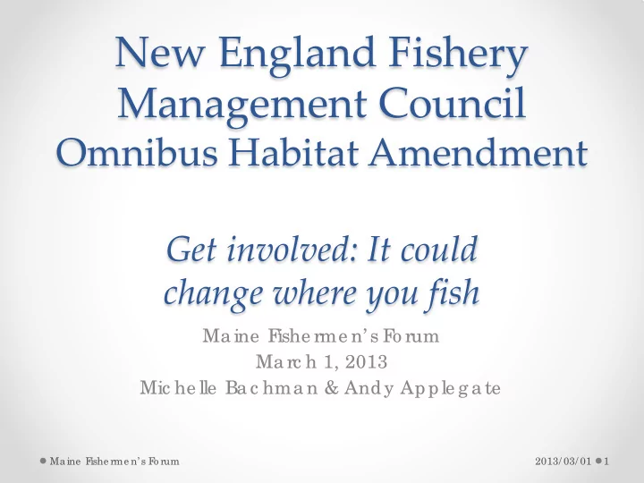 new england fishery management council