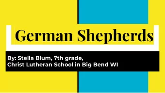 German Shepherds  By: Stella Blum, 7th grade,  Christ Lutheran School in Big Bend WI  German