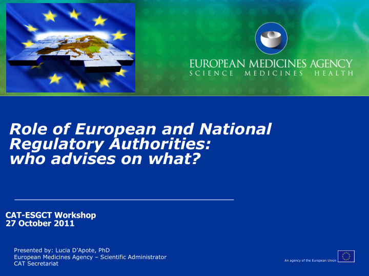 role of european and national regulatory authorities who