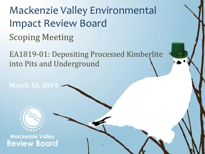 impact review board