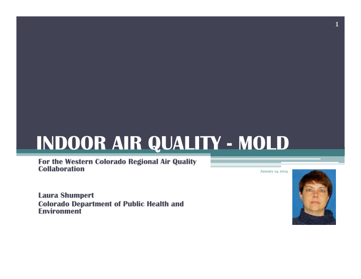 indoor air quality mold