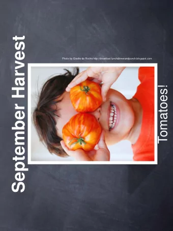 September Harvest  Photo by Giselle de Roche http://breakfast lunchdinnerandpunch.blogspot.com