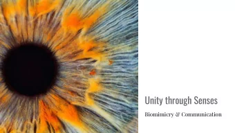 Unity through Senses  Biomimicry &amp; Communication  Team 1  L-R:  Eric  Brewster  Abdalla