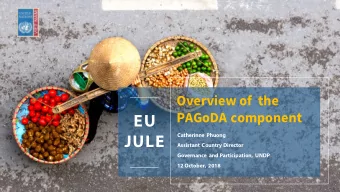 EU  Catherinne Phuong  JULE  Assistant Country Director  Governance and Participation, UNDP  12