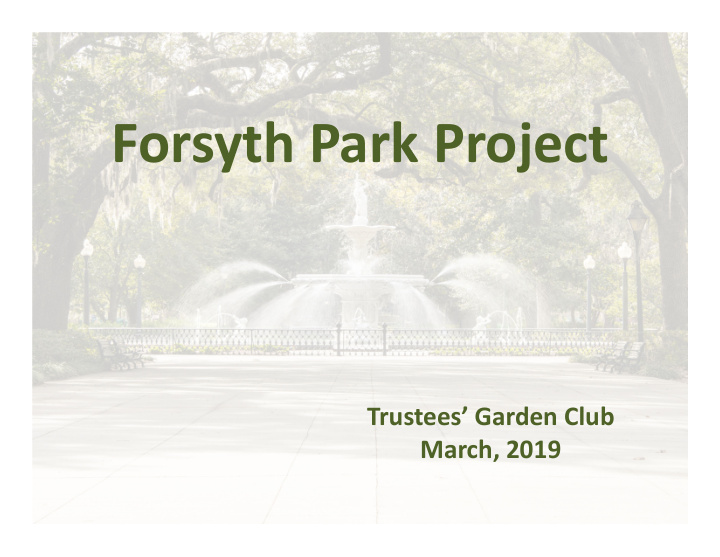 forsyth park project