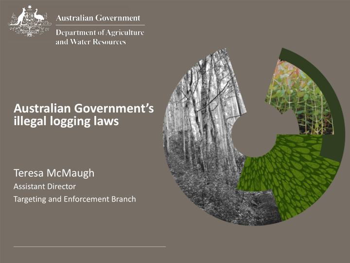 australian government s illegal logging laws