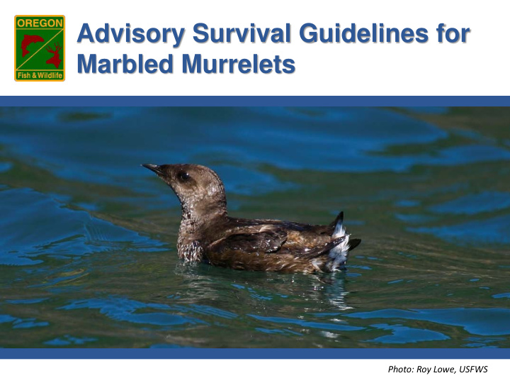 advisory survival guidelines for marbled murrelets