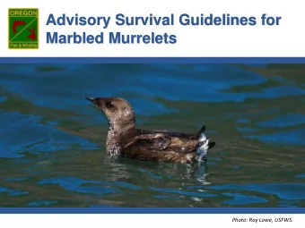 Advisory Survival Guidelines for  Marbled Murrelets  Photo: Roy Lowe, USFWS  Presentation Overview