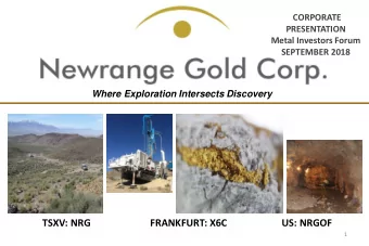 FORWARD LOOKING STATEMENTS  Some of the statements in this presentation contain forward-looking