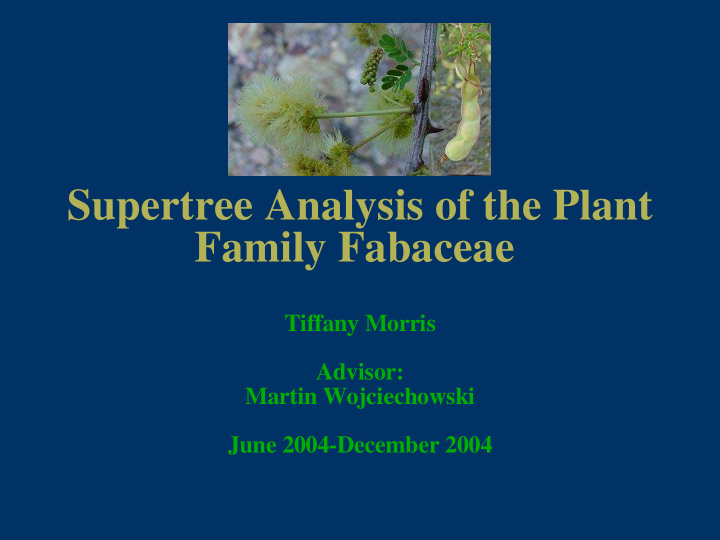 supertree analysis of the plant family fabaceae