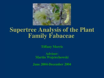 Supertree Analysis of the Plant Family Fabaceae  Tiffany Morris  Advisor:  Martin Wojciechowski