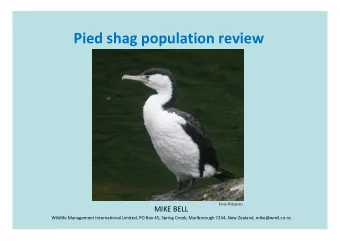 Pied shag population review  From Wikipedia MIKE BELL Wildlife Management International Limited, PO