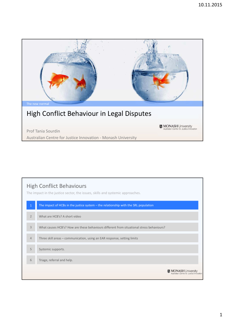 high conflict behaviour in legal disputes