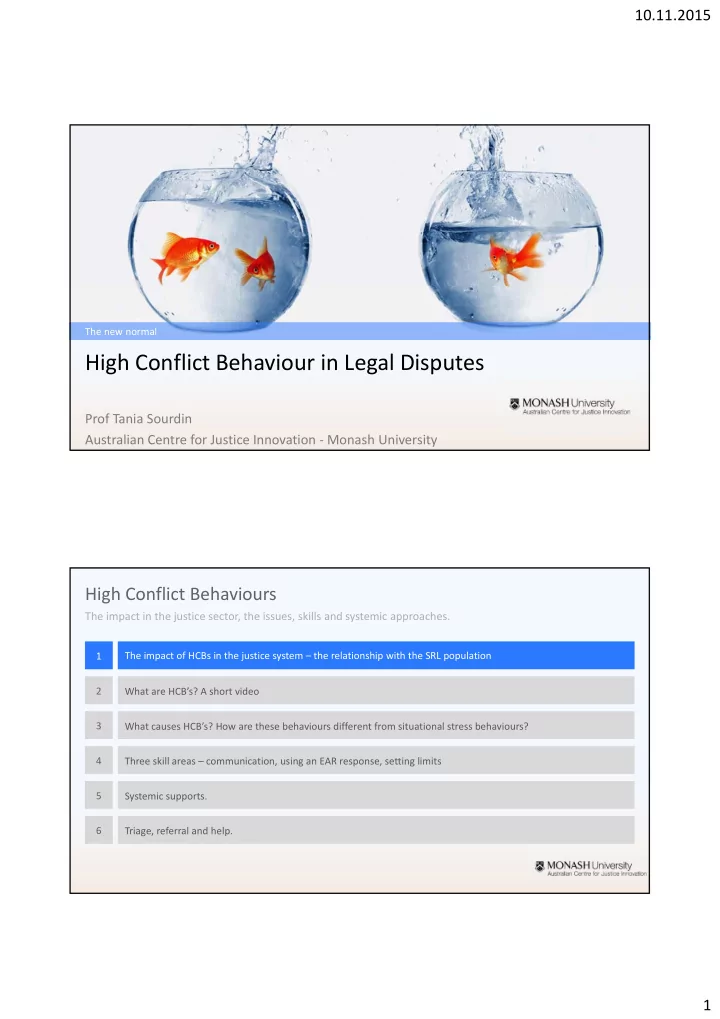 high conflict behaviour in legal disputes