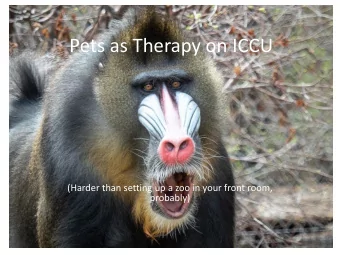 Pets as Therapy on ICCU  (Harder than setting up a zoo in your front room,  probably)  Holistic
