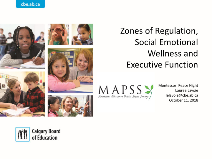 zones of regulation social emotional wellness and