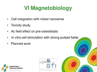 VI Magnetobiology    Cell integration with nickel nanowires    Toxicity study    Ac field