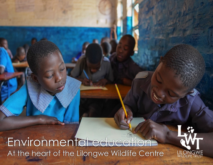 about the lilongwe wildlife centre